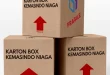 karton box