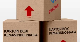 karton box