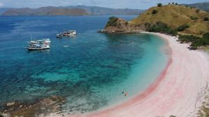 Pink Beach, Destinasi Wisata yang Wajib Dikunjungi Ketika Tour to Komodo Island