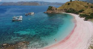 Pink Beach, Destinasi Wisata yang Wajib Dikunjungi Ketika Tour to Komodo Island