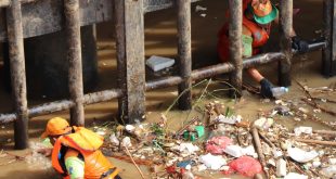 Tugas Dinas Lingkungan Hidup dalam Pengendalian Pencemaran dan Kerusakan Lingkungan