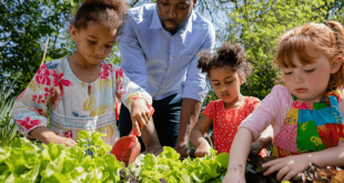 Mengulas Program Adiwiyata dan Peran DLH dalam Pembinaannya